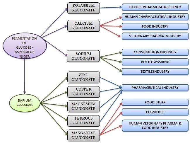 GLUCONATE TECHNOLOGY