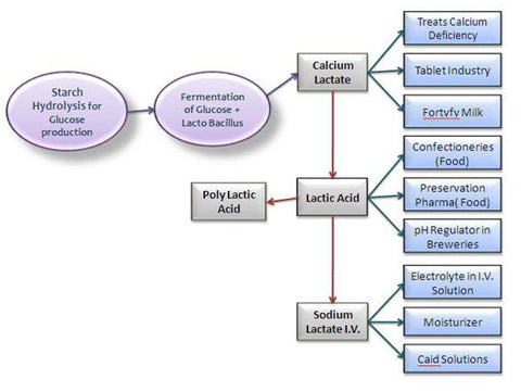 LACTATE TECHNOLOGY